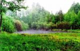 Kuciuliske - the most known herpetological site in Lithuania