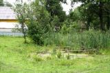 Farm pond