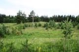 Such expositions became overgrown by trees planted by foresters
