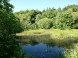Suitable habitats