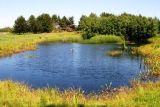 Another good pond