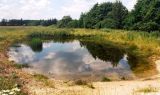 Good pond